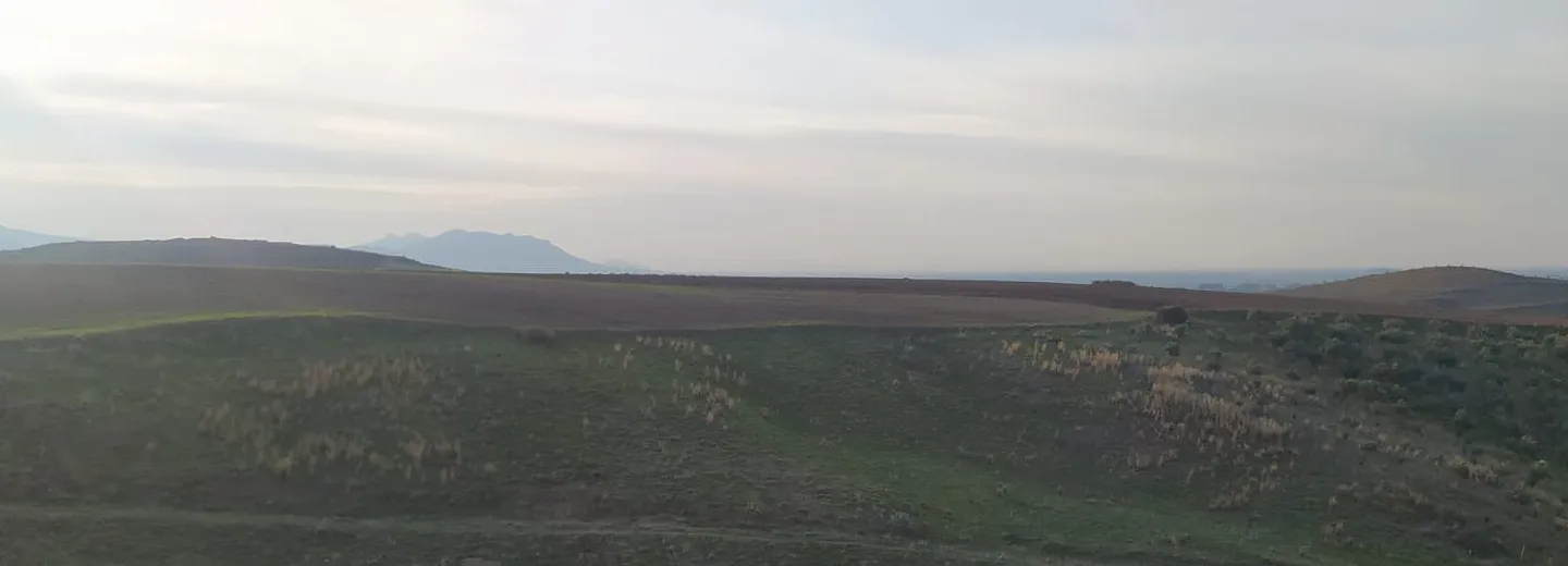 Yeni çıkan YDT kitapları ve denemeleri