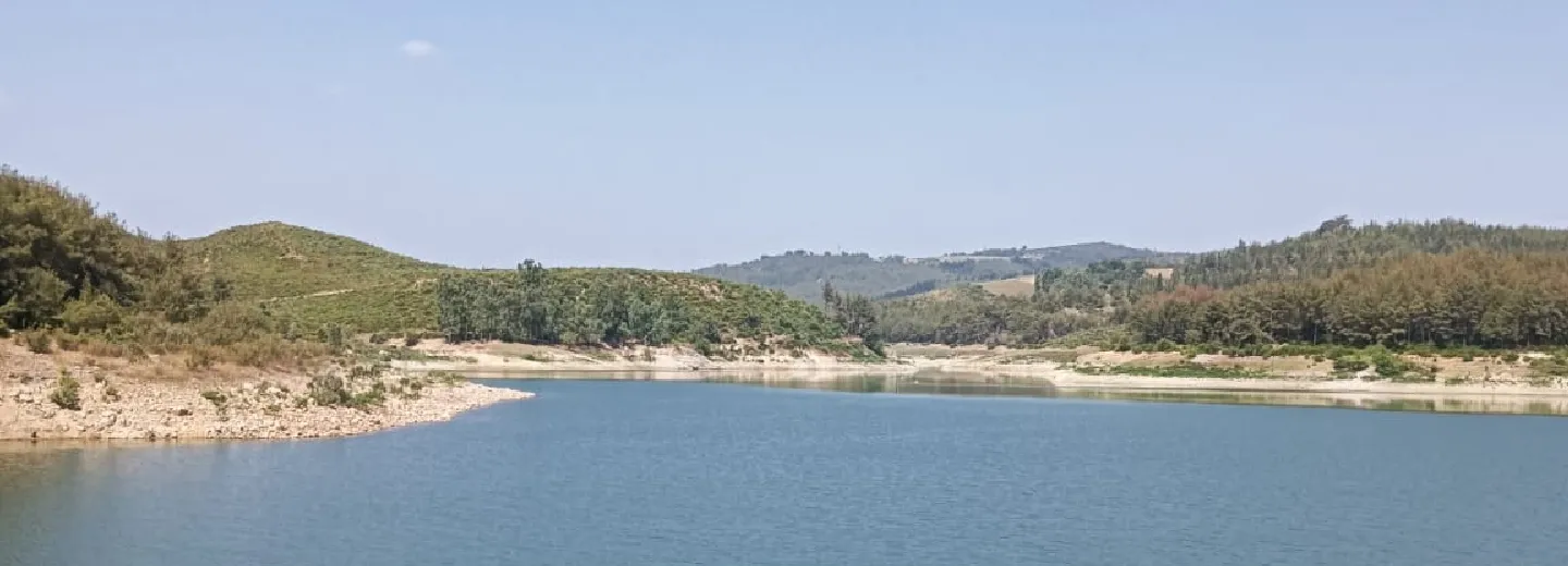 YDT sınav stratejileri ve hazırlık süreci